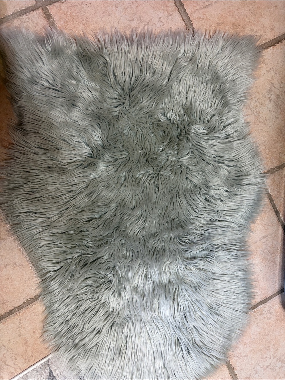 # 31. Soft Gray Faux Fur Accent Rug - Cozy Home Accent(homesense)